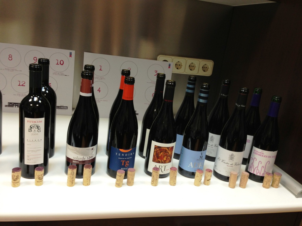 El_Bierzo_Cata_Encuentro_Bloggers_Enologos_botellas